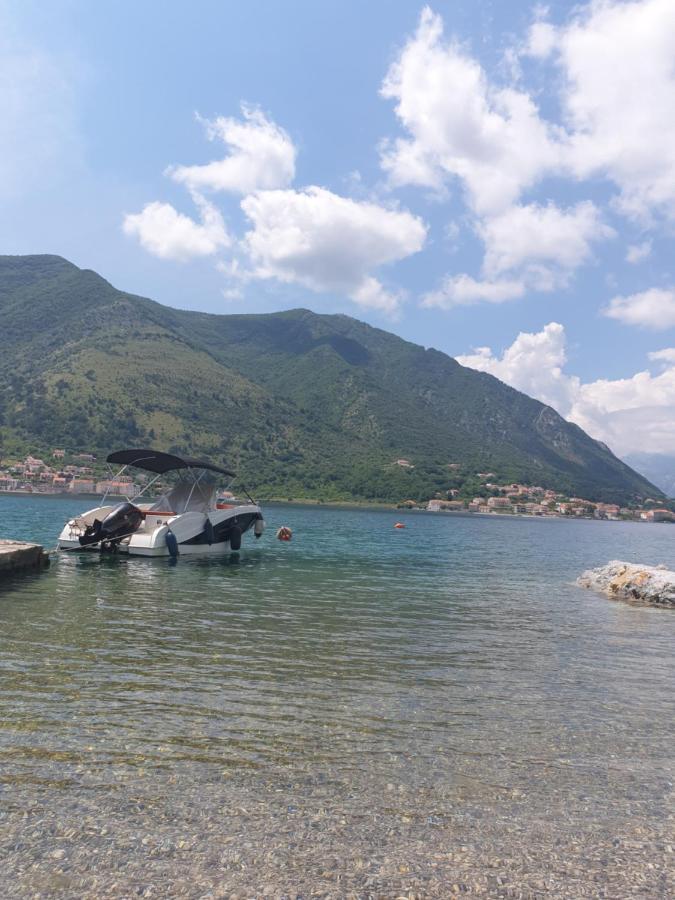 Savic Apartments Kotor Oda fotoğraf