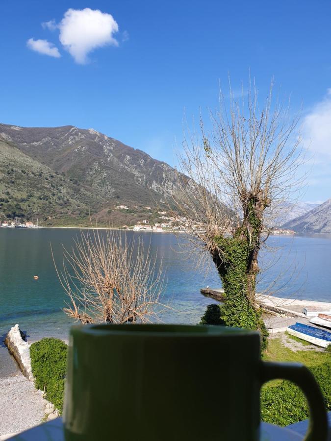 Savic Apartments Kotor Dış mekan fotoğraf