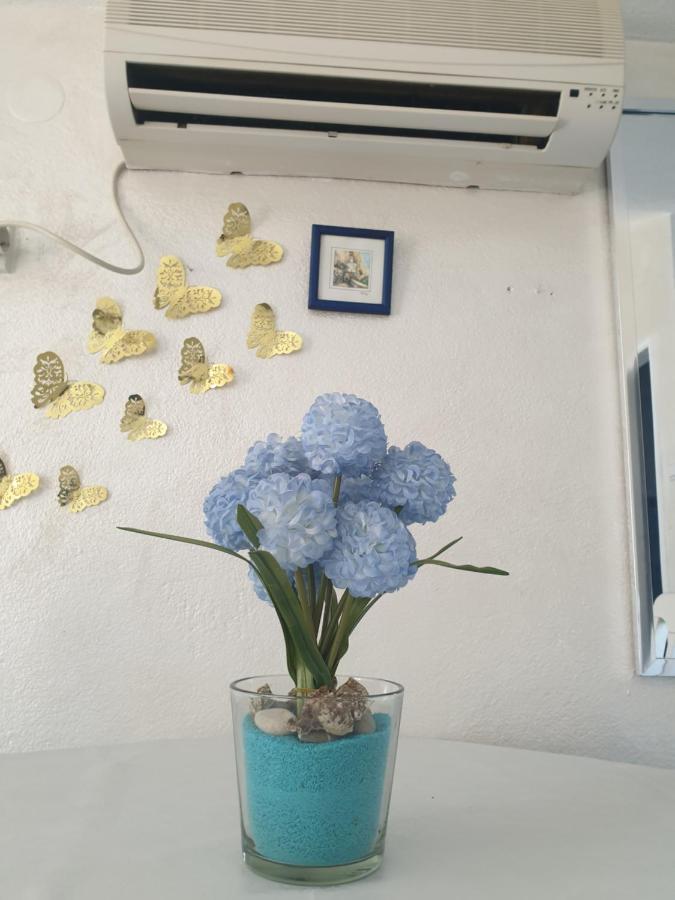 Savic Apartments Kotor Dış mekan fotoğraf